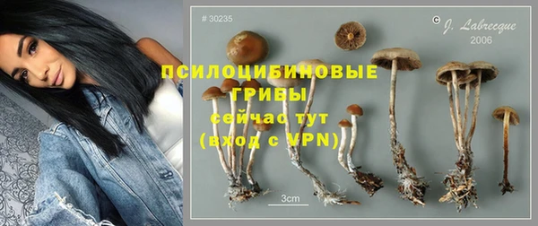 прущие крисы Остров