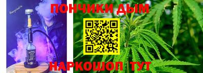 индика Камышлов