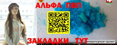 индика Камышлов