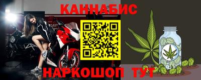 индика Камышлов