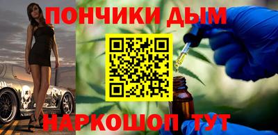 индика Камышлов