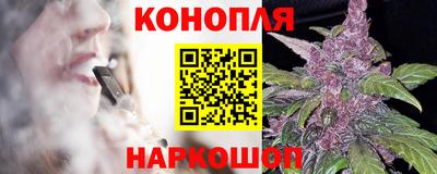 индика Камышлов