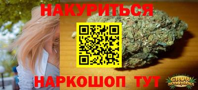 индика Камышлов