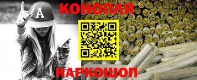 индика Камышлов