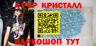 индика Камышлов