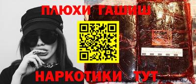 индика Камышлов