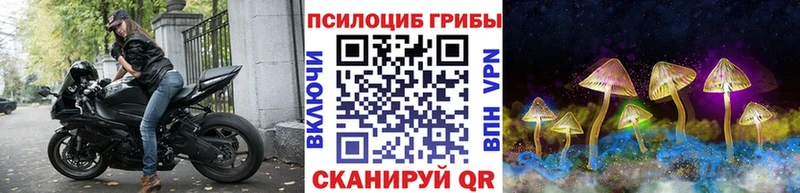 MEGA зеркало  Прокопьевск  Псилоцибиновые грибы ЛСД 