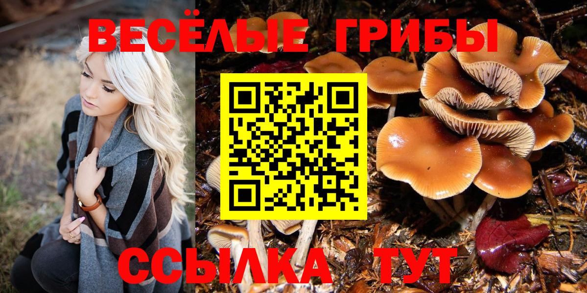 где найти   Псилоцибиновые грибы Cubensis  Галлюциногенные грибы мухоморы  Вход с VPN  Прокопьевск 